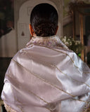 Back view of Mint Green Silver Zarri Silk suit showing dupatta drape
