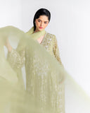 Close-up of lime green net kaftan bodice with sheer organza dupatta draped in front