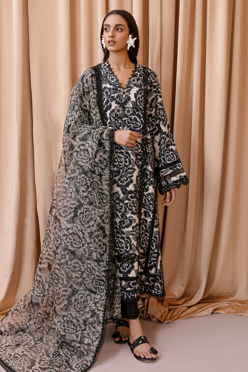 Opulent Whisper | Apricity'23 | Woman | | Pakistani Women's Fashion