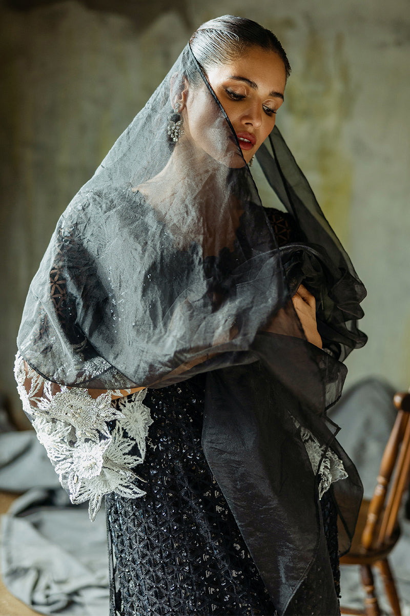 Close-up portrait in a Black Net suit with a sheer organza veil draped over the head