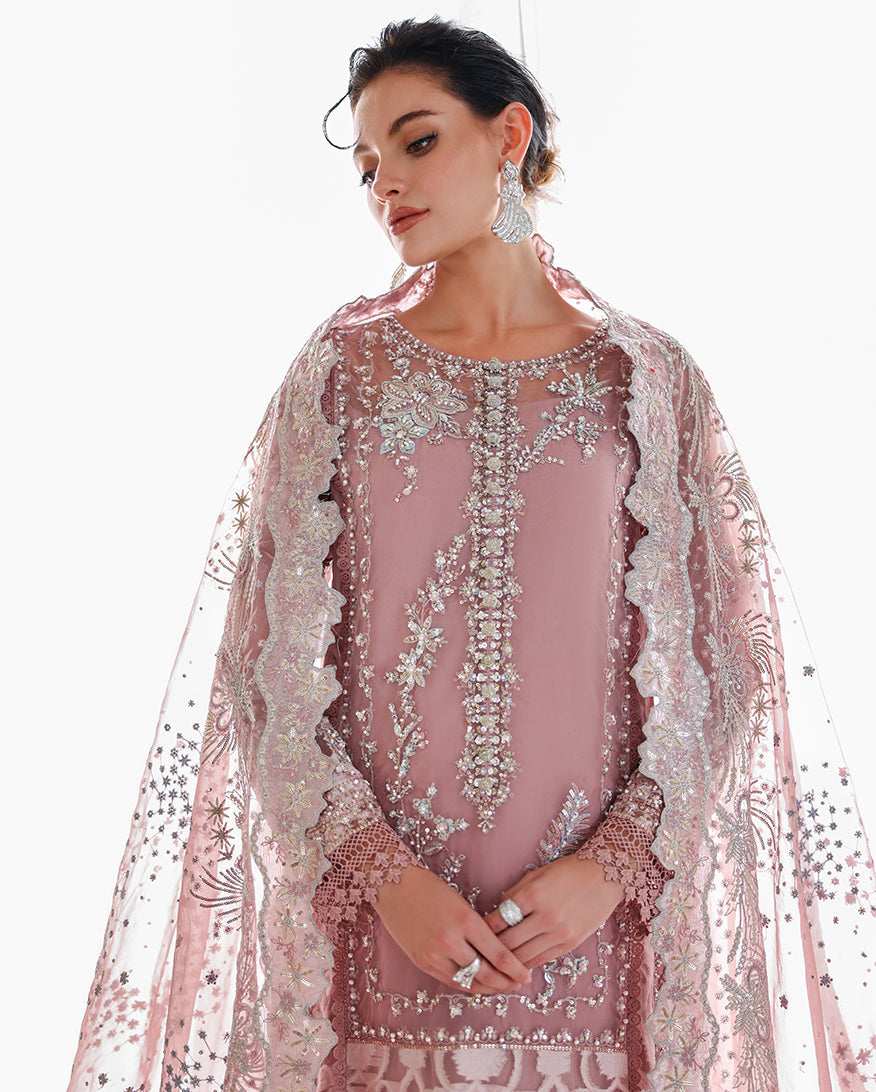Close-up of mauve organza suit showing embellished neckline and draped dupatta