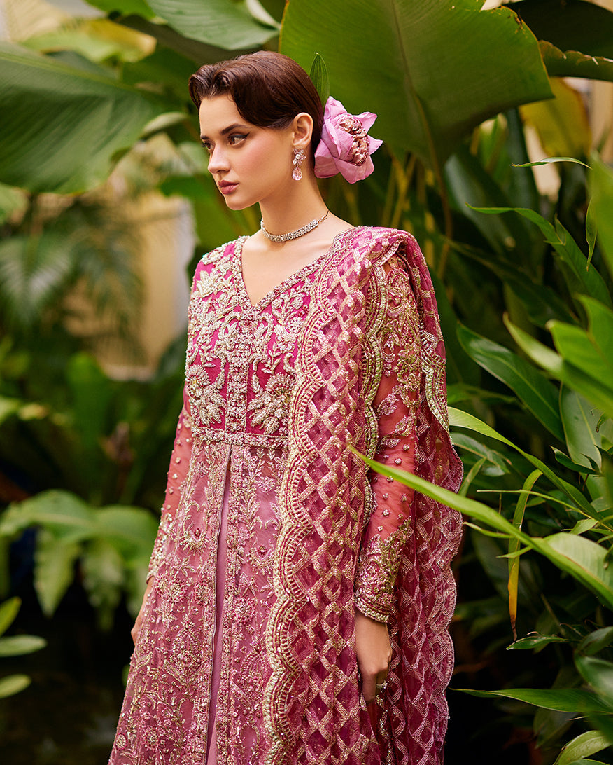 Cupid | Best of Mushq | Women | | Pakistani Women's Fashion