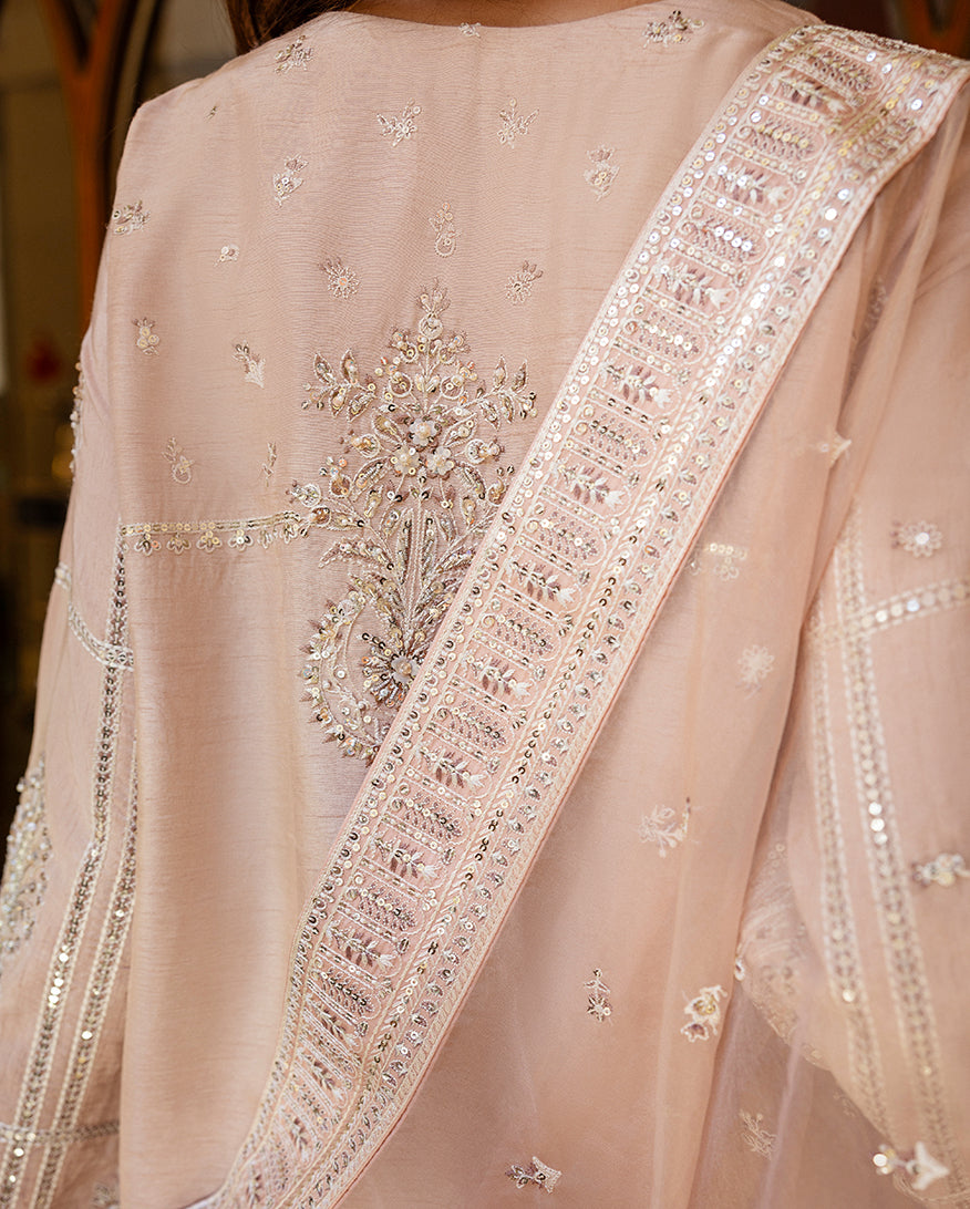 Close-up of embroidered back panel and sequinned dupatta border on rose beige raw silk suit