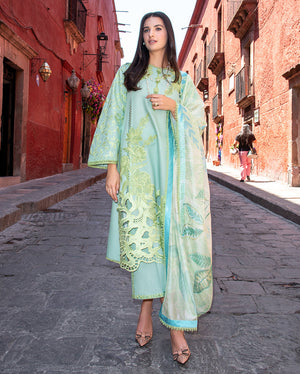 Paloma